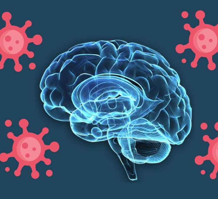 Causes of Post Covid Brain Fog