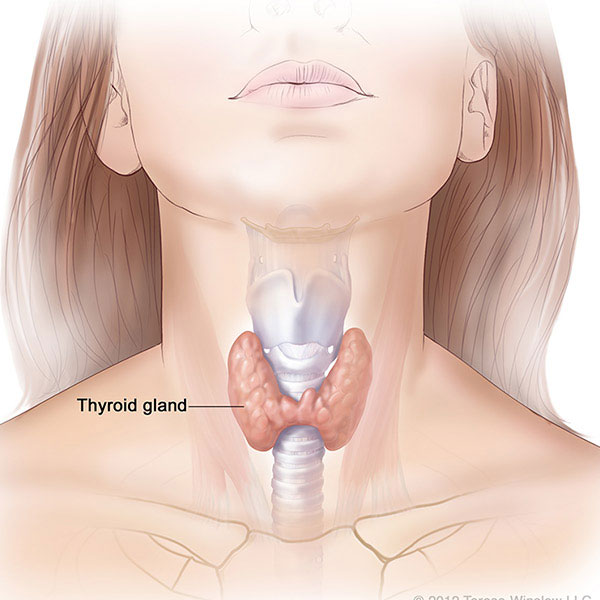 Hyperthyroidism symptoms