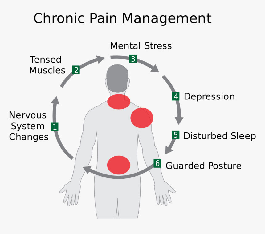 Chronic Pain Management Cycle