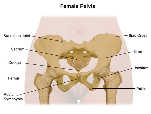 pelvic girdle pain treatment