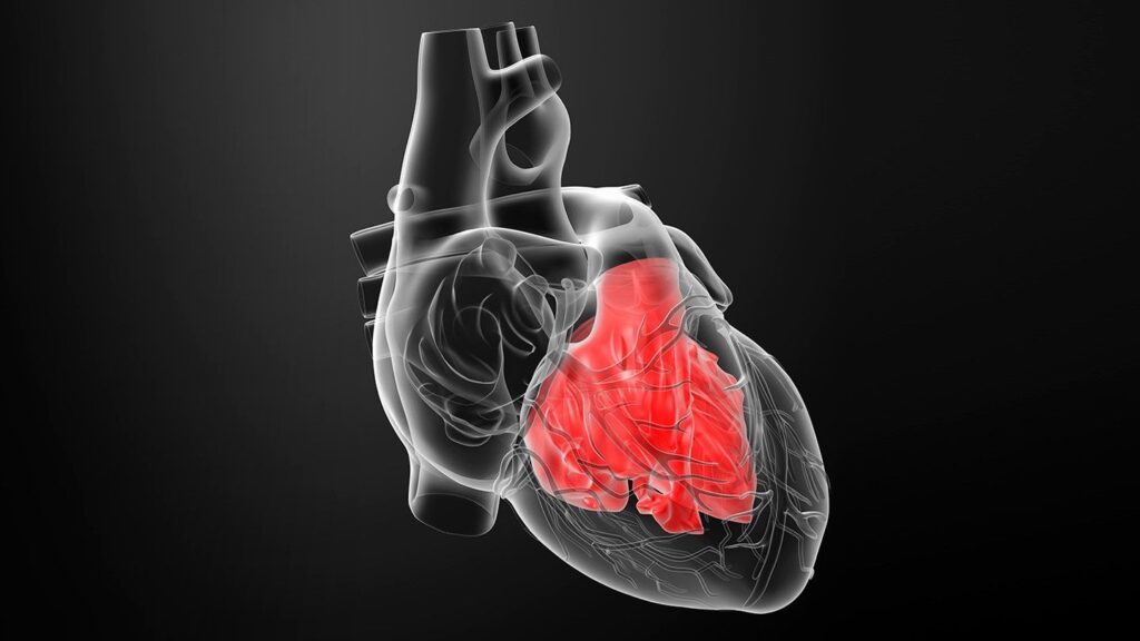 what causes an enlarged heart