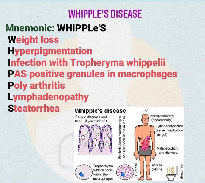 whipple's disease treatment