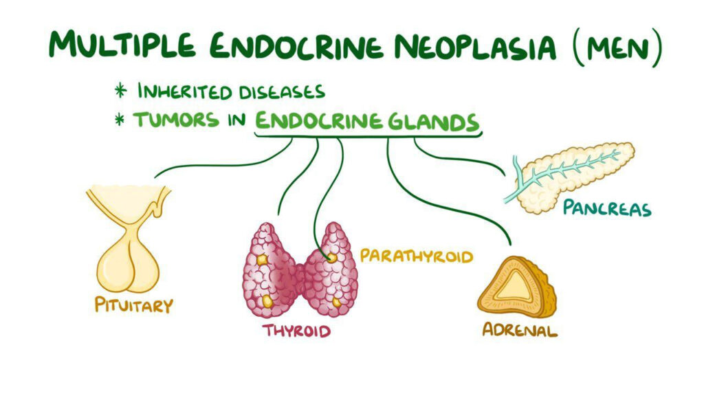 multiple endocrine neoplasia type 1