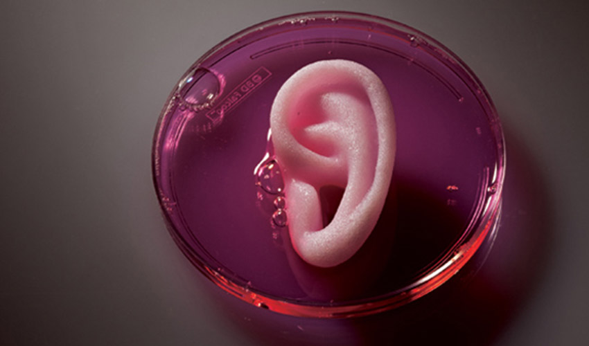 What is Bioprinting?