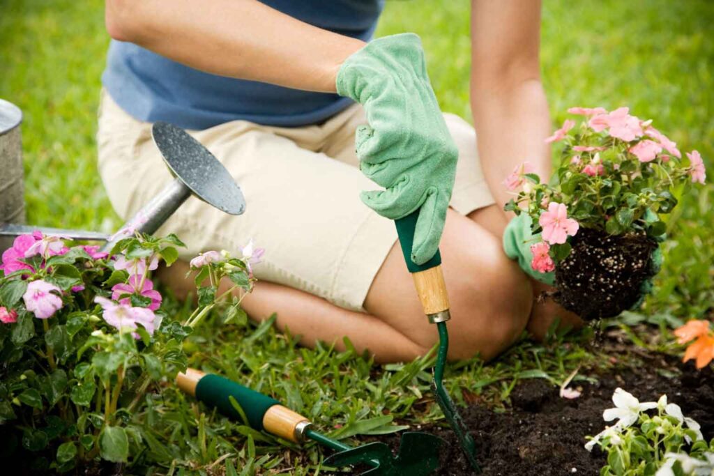 Gardening with back pain