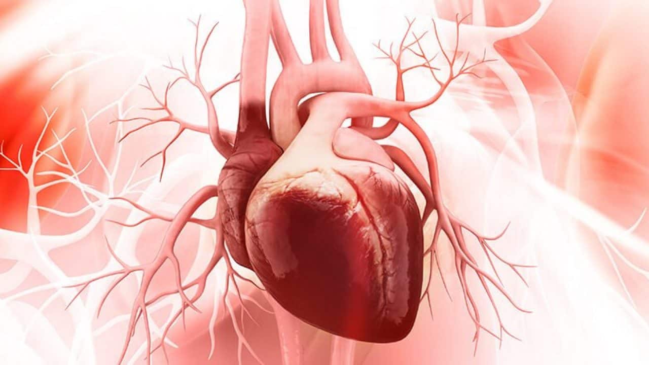 Adult Congenital Heart Disease