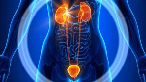 What is Bladder Pain?