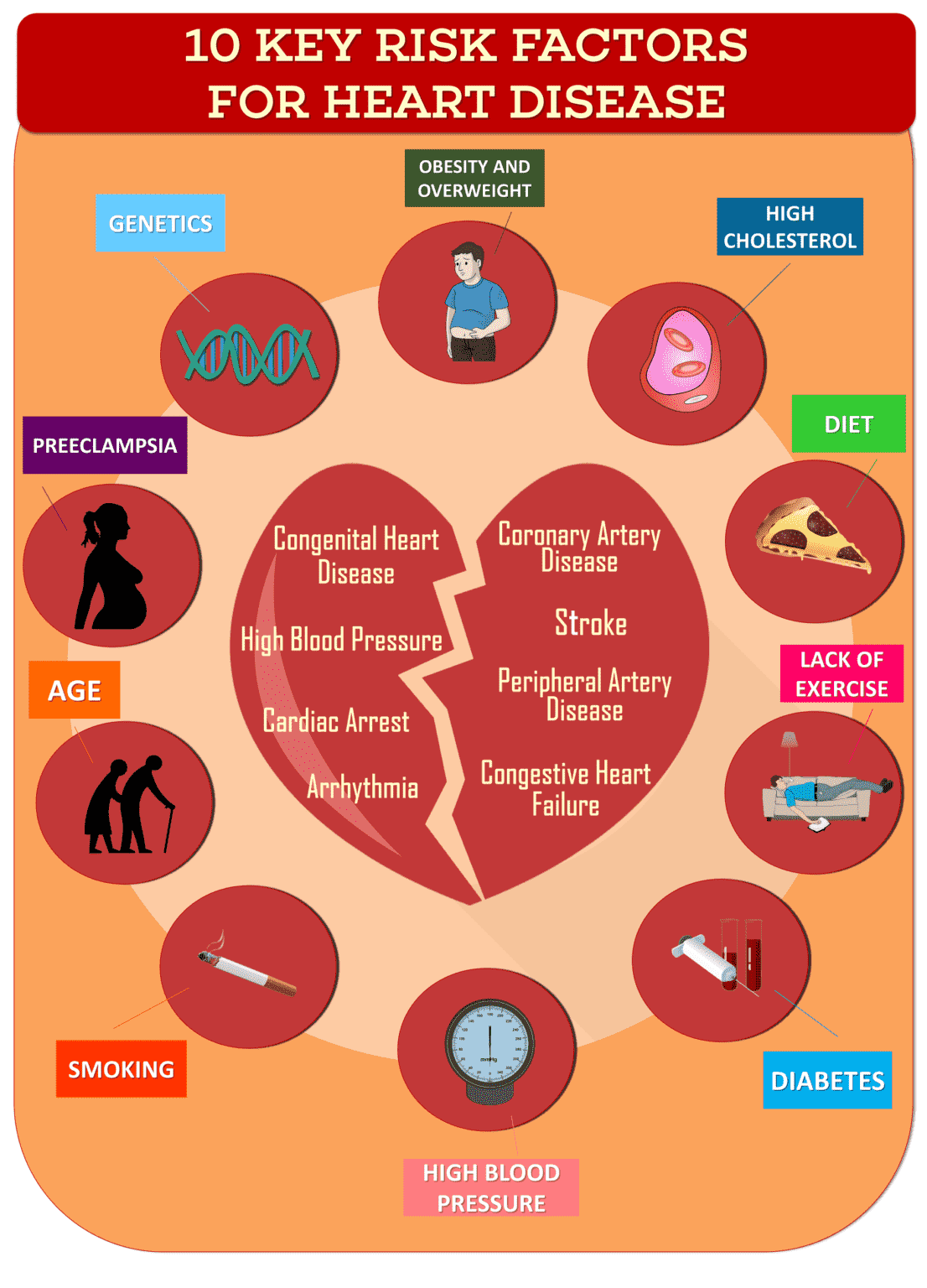 cardiovascular disease risk factors