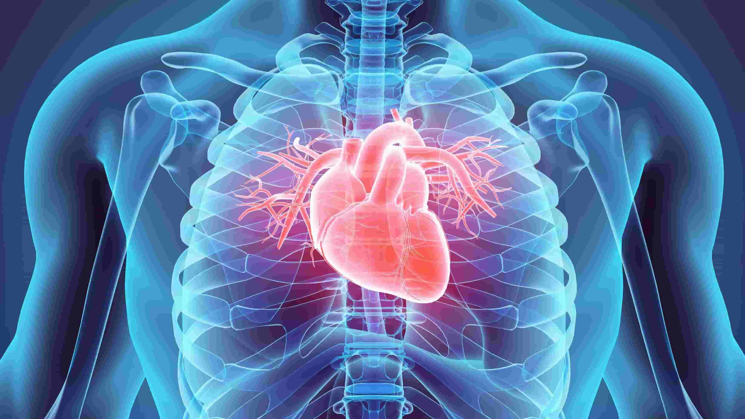 Cardiovascular Disease: Types and Risk Factors