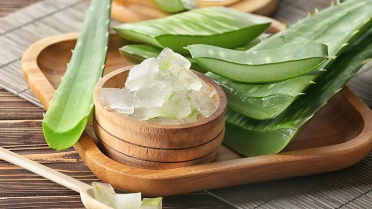 Aloe vera benefits in back pain