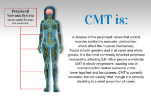 What is Charcot-Marie-Tooth Disease?