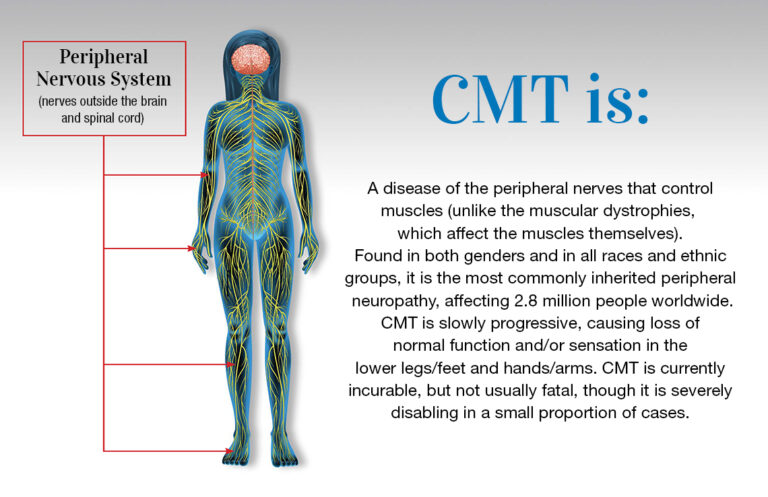 What is Charcot-Marie-Tooth Disease? 