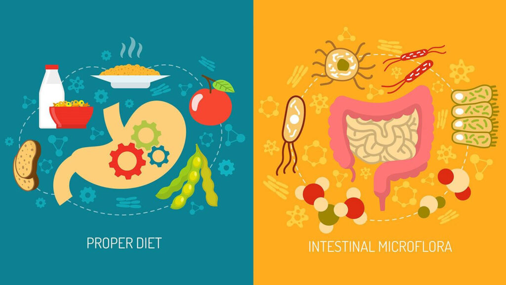 Proper Diet and Intestinal Microflora