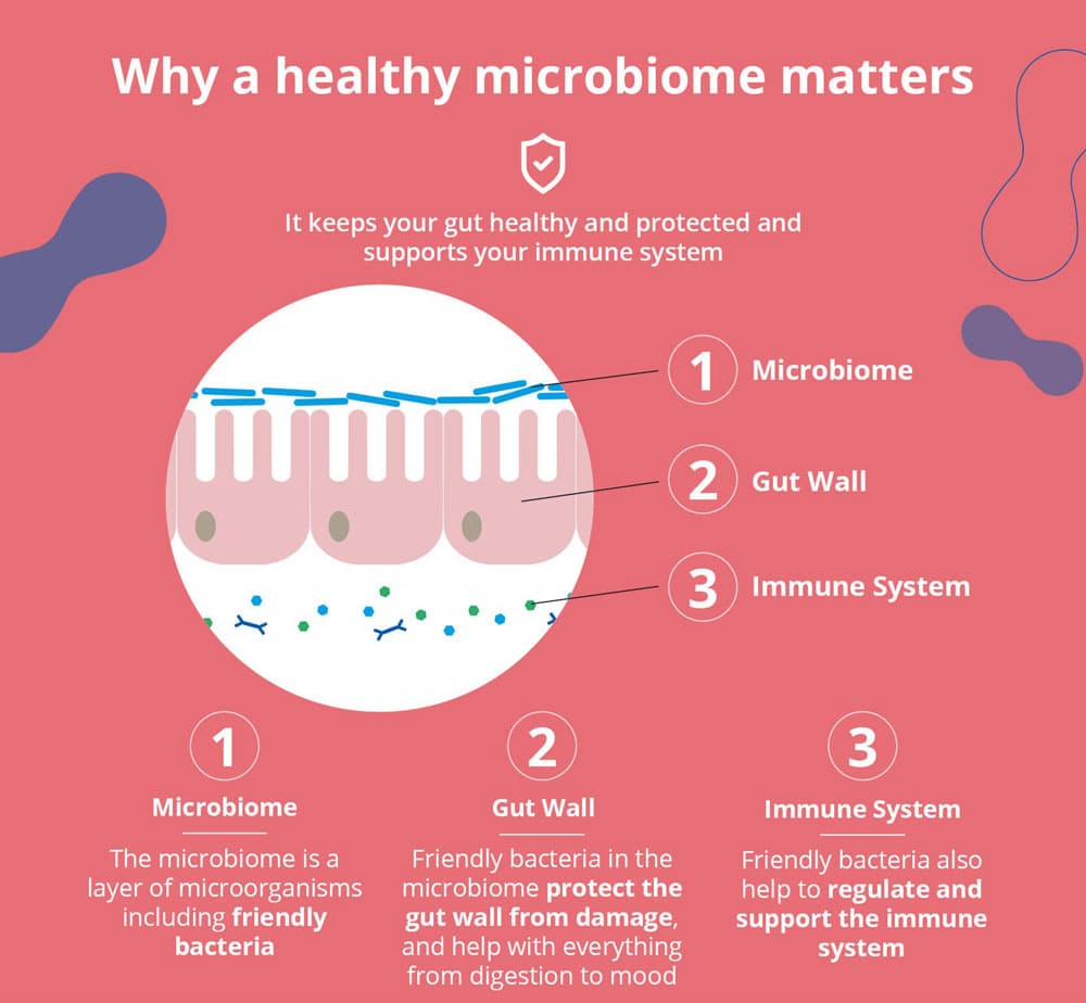 Why a Healthy Microbiome Matters