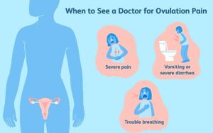 What is Ovulation Pain?