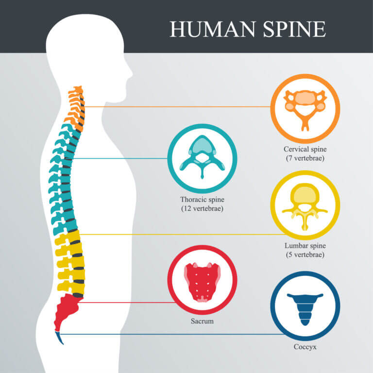 What is Thoracic Spine Syndrome?