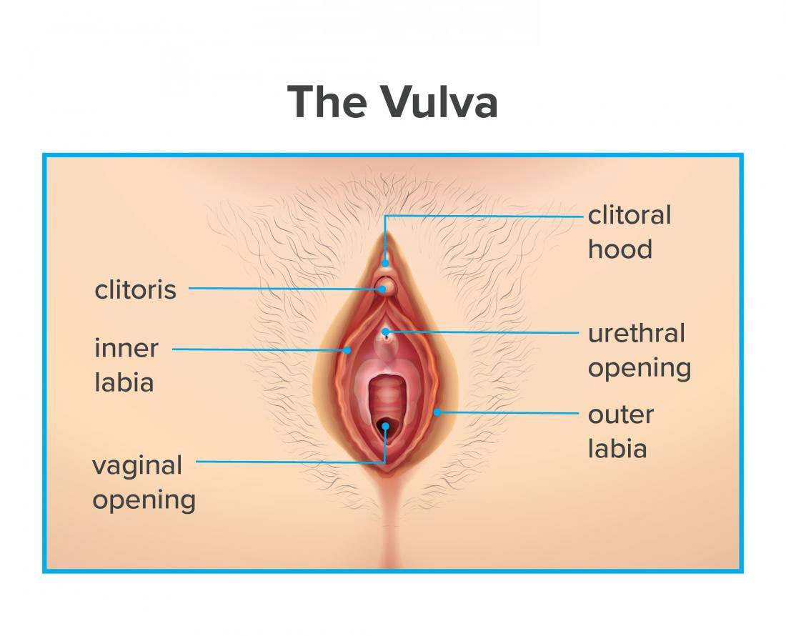 What is Vulvodynia?