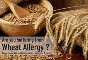 What is a Wheat Allergy?