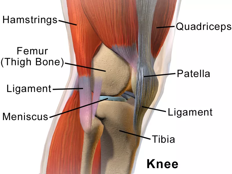 knee pain as you age