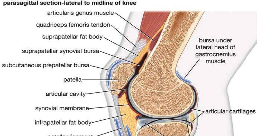 Arthritis Pain