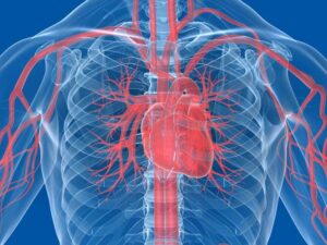 Diabetes and Heart Disease