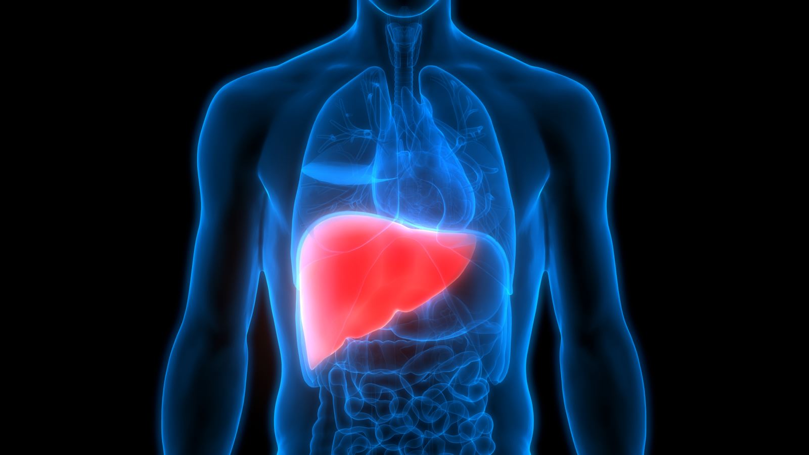 Fatty Liver Disease