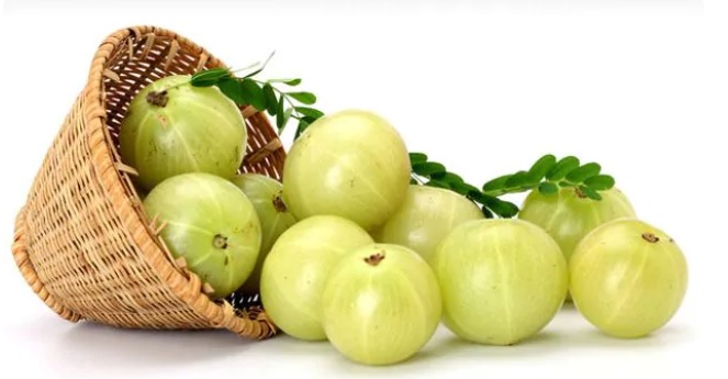 Amla Immunity Booster