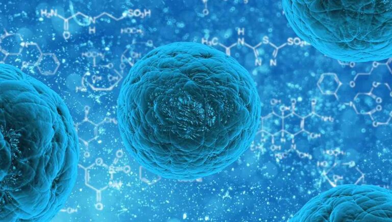 stem cell treatment