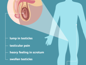 Testicular Pain