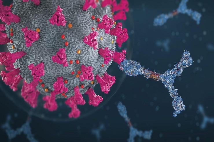 mRNA vaccines