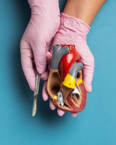 Organ Damage