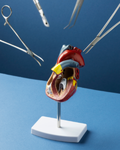 Organ Damage Treatment